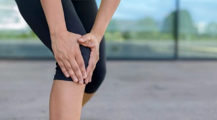 rodilla El cartílago de la rodilla