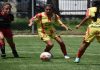 Aragua FC Femenino buscará clasificación ante Deportivo Guerrero Aragua FC Femenino