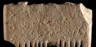 Primera frase escrita