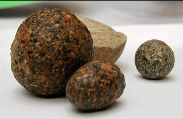 bezoar-stone-piedras