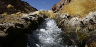 Aguas del Silala