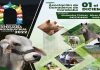 Feria Agropecuaria y Agroindustrial Carabobo 2022