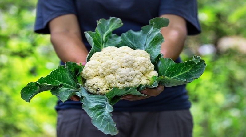 coliflor Consumir coliflor