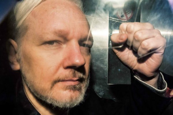 julian assange-La Palmera Luminosa-Laura Antillano