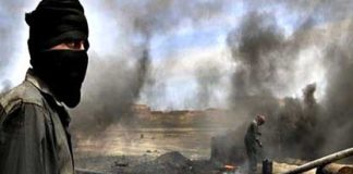 Pérdidas millonarias por ocupación norteamericana