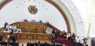 AN-cerveza artesanal