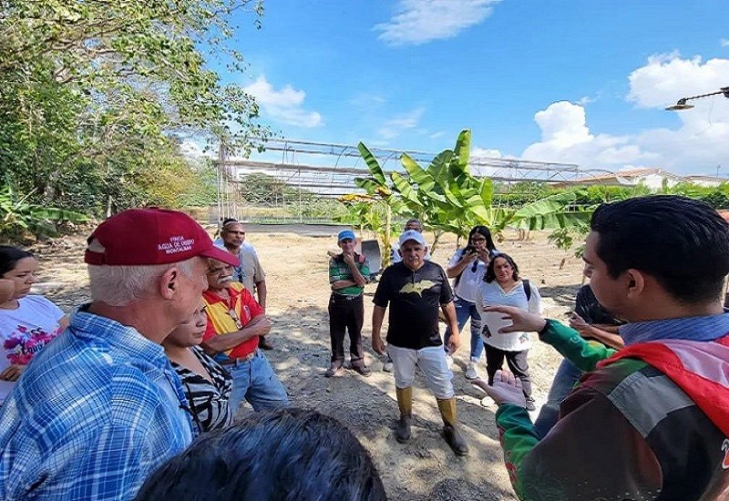 casas Plan de Recuperación de Casas de Cultivo