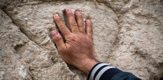 Huella de una mano