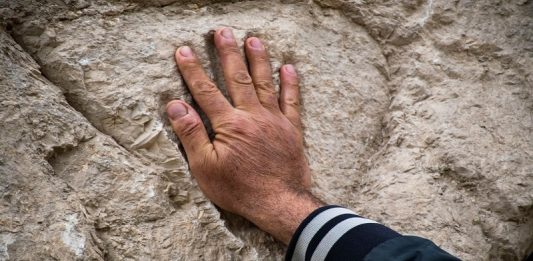 Huella de una mano