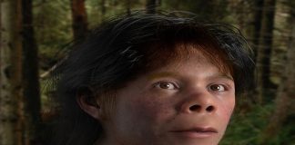 Rostro de niño neandertal