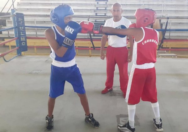 Carabobo-boxeo-campeonato cadete-clasificados 2