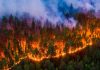 Incendios Forestales-Chile-Francia-bomberos