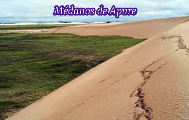 Médanos de Apure