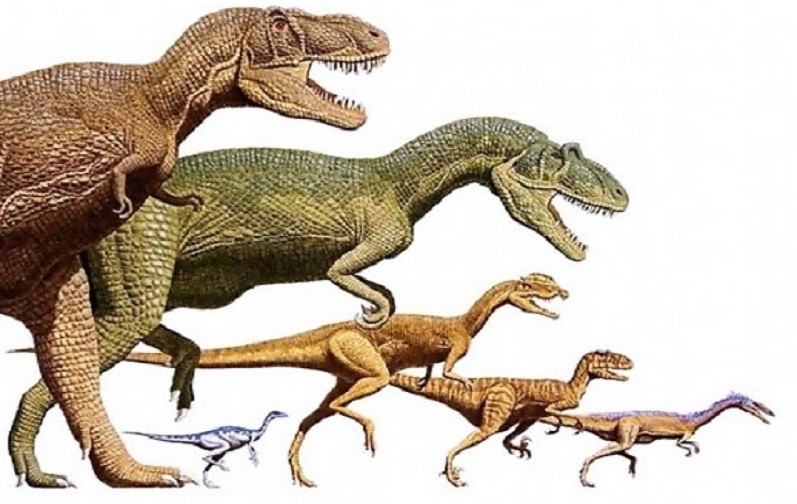 Dinosaurios terópodos gigantes y otros enanos habían en la tierra