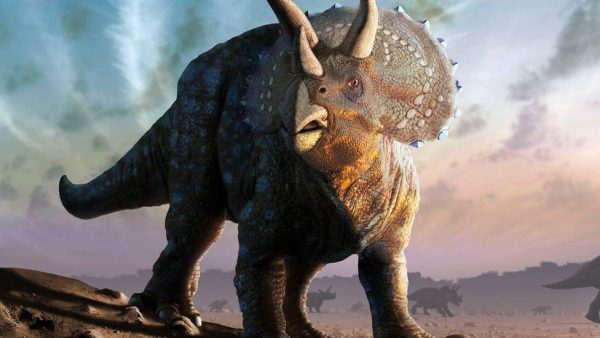 dinosaurios-carrusel de curiosidades