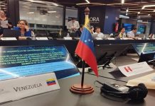Venezuela presente en Taller de Organización del Tratado de Cooperación Amazónica en Brasil