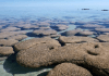 Oxígeno en la Tierra primitiva podría provenir de las rocas