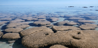 Oxígeno en la Tierra primitiva podría provenir de las rocas
