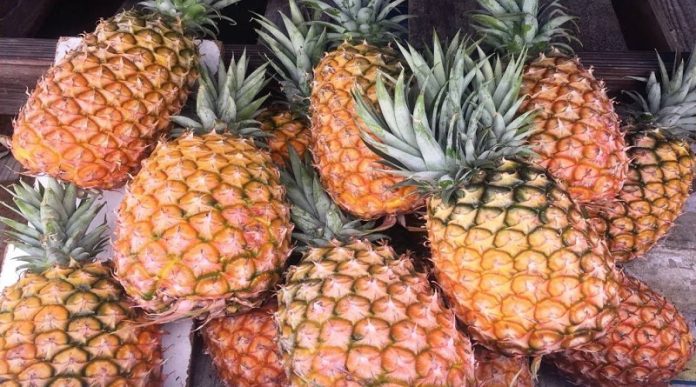 piña La piña