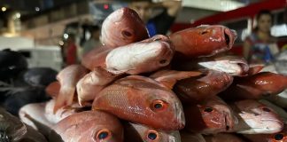 Operación Venezuela Come Pescado