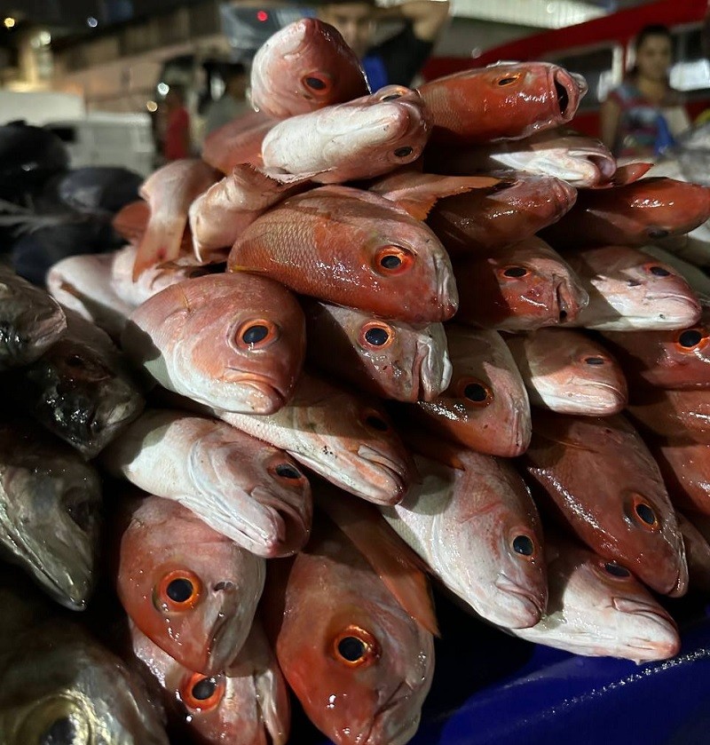 pez Operación Venezuela Come Pescado