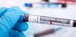 fiebre de Marburgo
