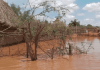 Etiopía: Inundaciones han causado la muerte a más de 80 personas Inundaciones
