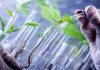 Bioproducto para saneamiento ambiental