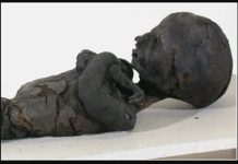 Momias de niños egipcios