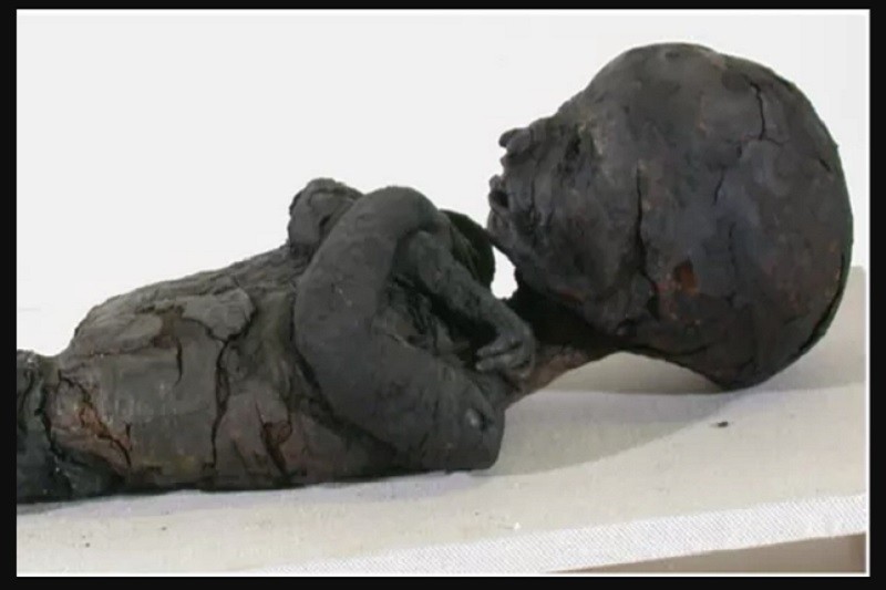 Momias de niños egipcios