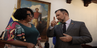 Venezuela explora nuevas oportunidades de cooperación con Sudáfrica