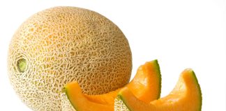 El melón
