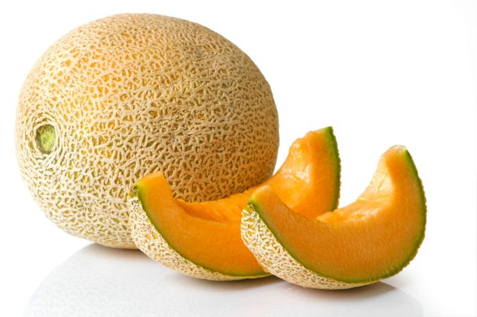 El melón