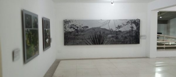 Rodrigo Benavides-Carabobo