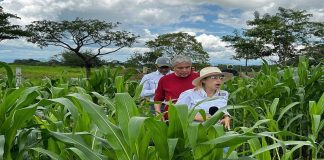 Agricultura y ganadería regenerativa se vinculan con políticas públicas