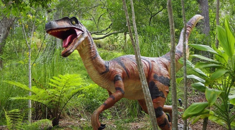 dinosaurio Fósil de dinosaurio