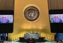 Eligen diplomáticos de Venezuela para ocupar cargos en la ONU