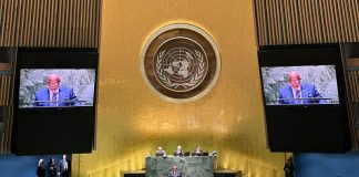 Eligen diplomáticos de Venezuela para ocupar cargos en la ONU