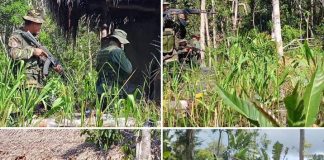 Operación Autana-Amazonas 2