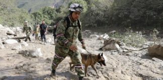 deslaves en Colombia