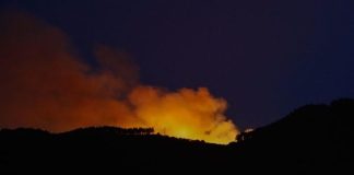 incendio forestal en Gran Canaria