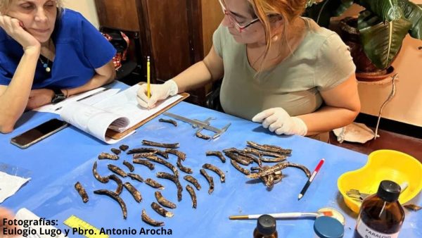 Monseñor Salvador Montes de Oca-exhumación 1