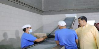 Proyectan para el 2025 elevar rebaño de cabras a 10 millones de animales