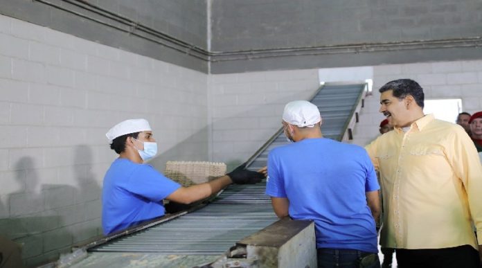 Proyectan para el 2025 elevar rebaño de cabras a 10 millones de animales