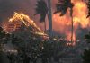 incendios forestales en Hawái