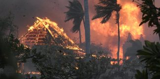 incendios forestales en Hawái