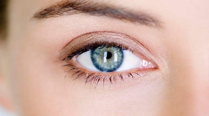 ojos Protege la vista