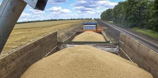 50 mil toneladas de cereales