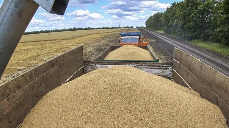rusia 50 mil toneladas de cereales