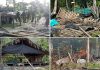 Amazonas: Operación Autana 2023 desaloja 11.750 mineros ilegales en Pque. Nac. Yapacana Operación Autana 2023